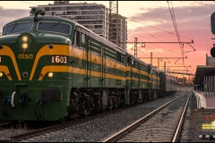 Tren de los ingleses formado en la estacón de Almería